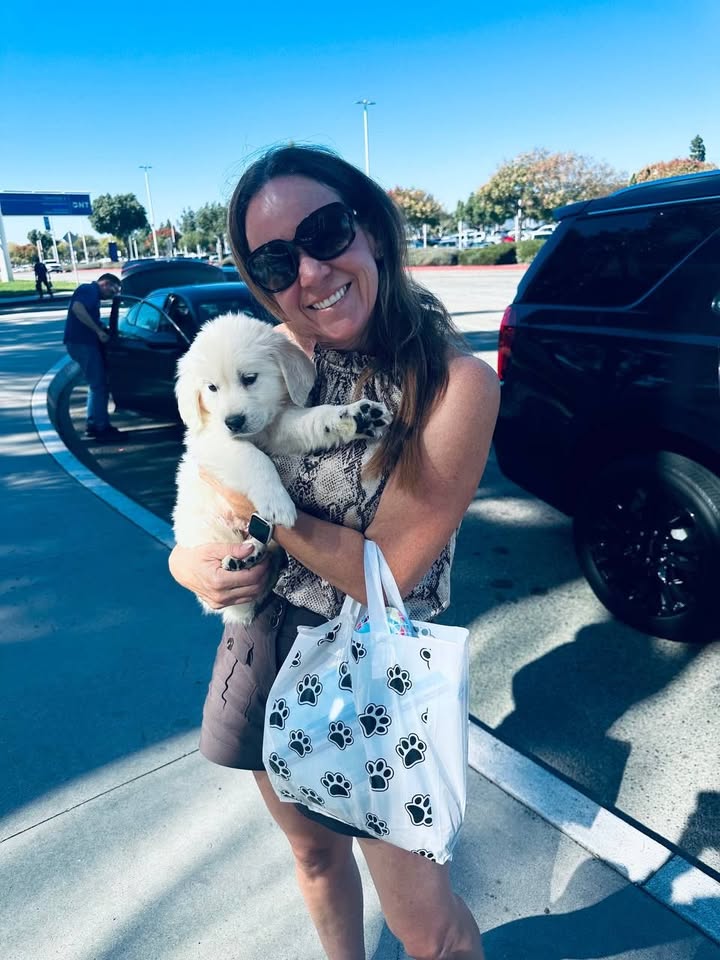 Pet Jet Pals