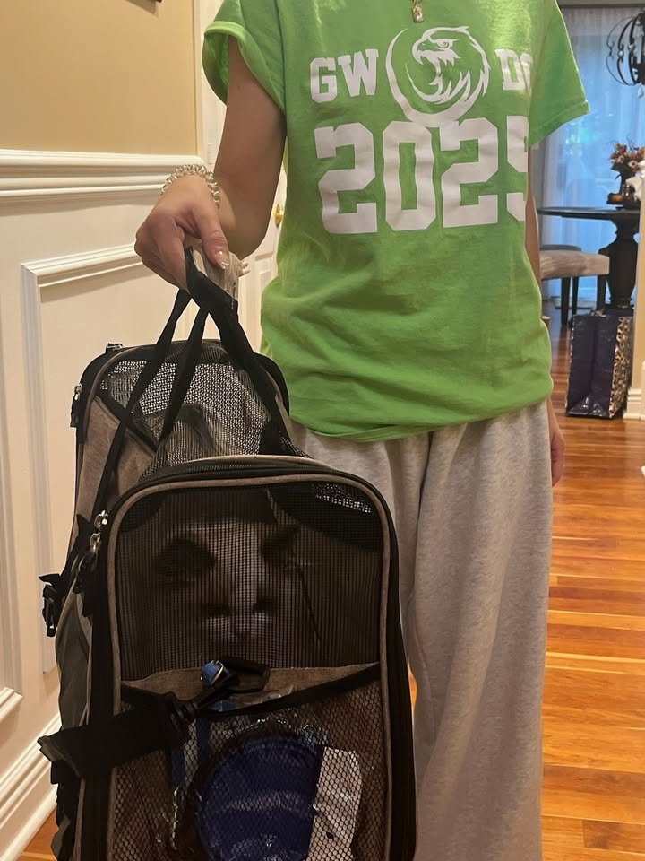 Pet Jet Pals