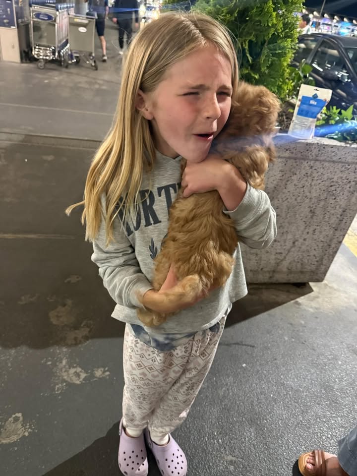 Pet Jet Pals