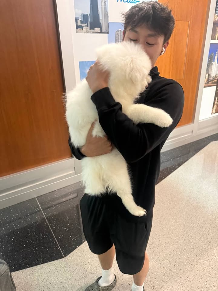 Pet Jet Pals