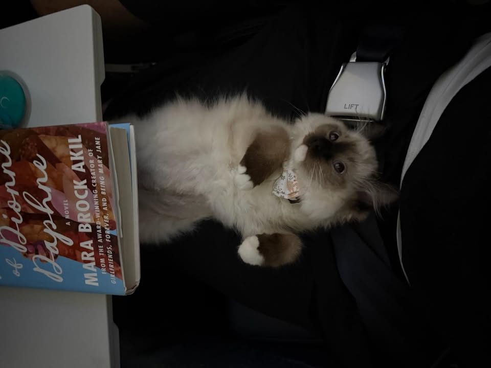 Pet Jet Pals