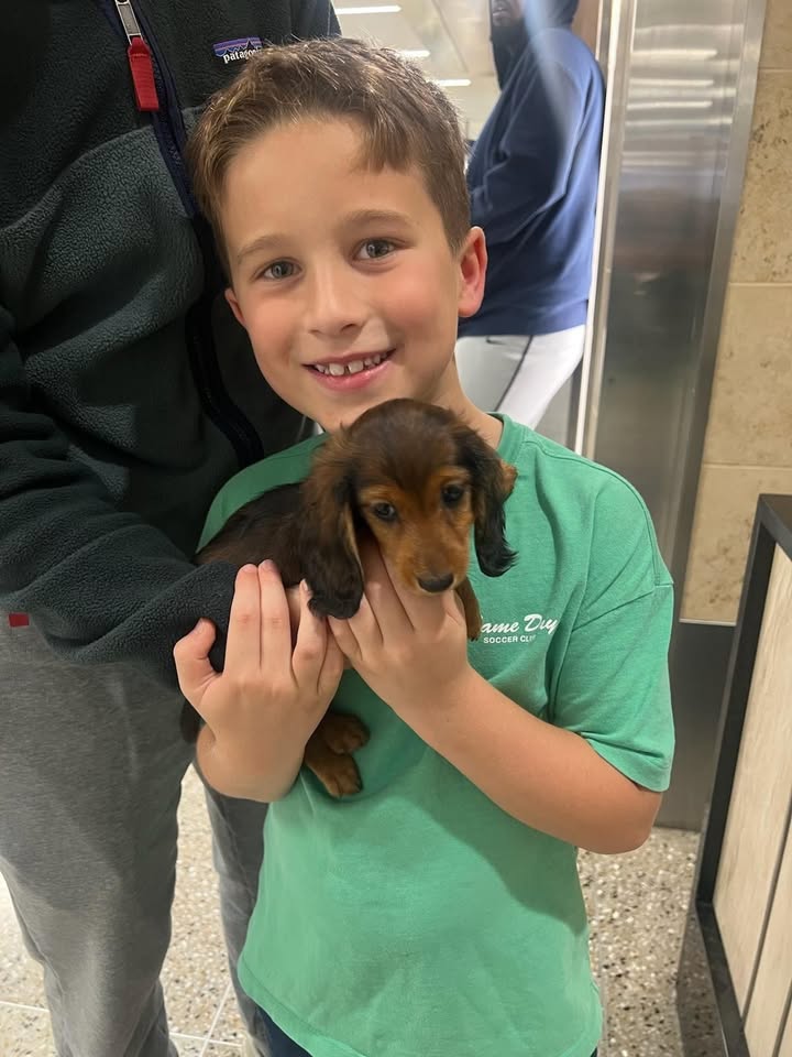 Pet Jet Pals